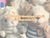 Custom Plush Toy Manufacturer in China: Create Your Dream Toy