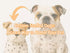 f_article.image.alt