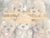 Uncovering the Secrets of the Best Custom Pet Plush Toy Manufacturers in China in 2025